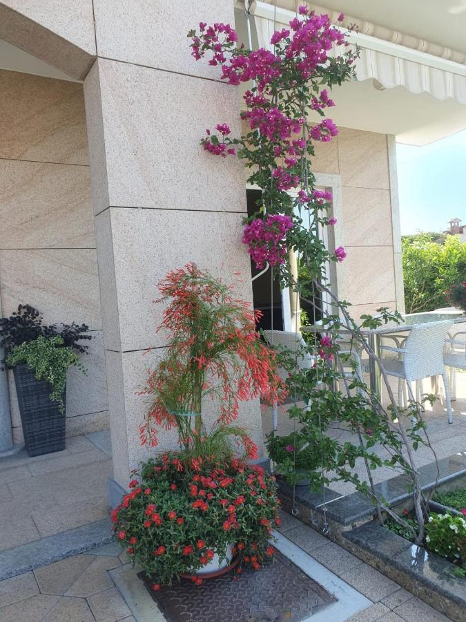 Villa Maric Baška Voda エクステリア 写真