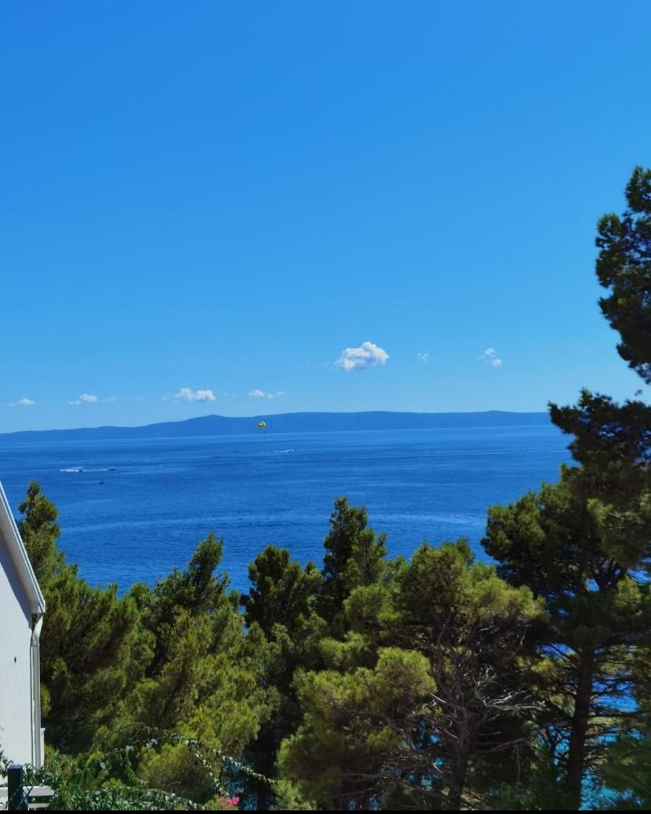 Villa Maric Baška Voda エクステリア 写真